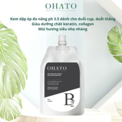 KEM DẬP ÉP ĐA NĂNG OHATO B2