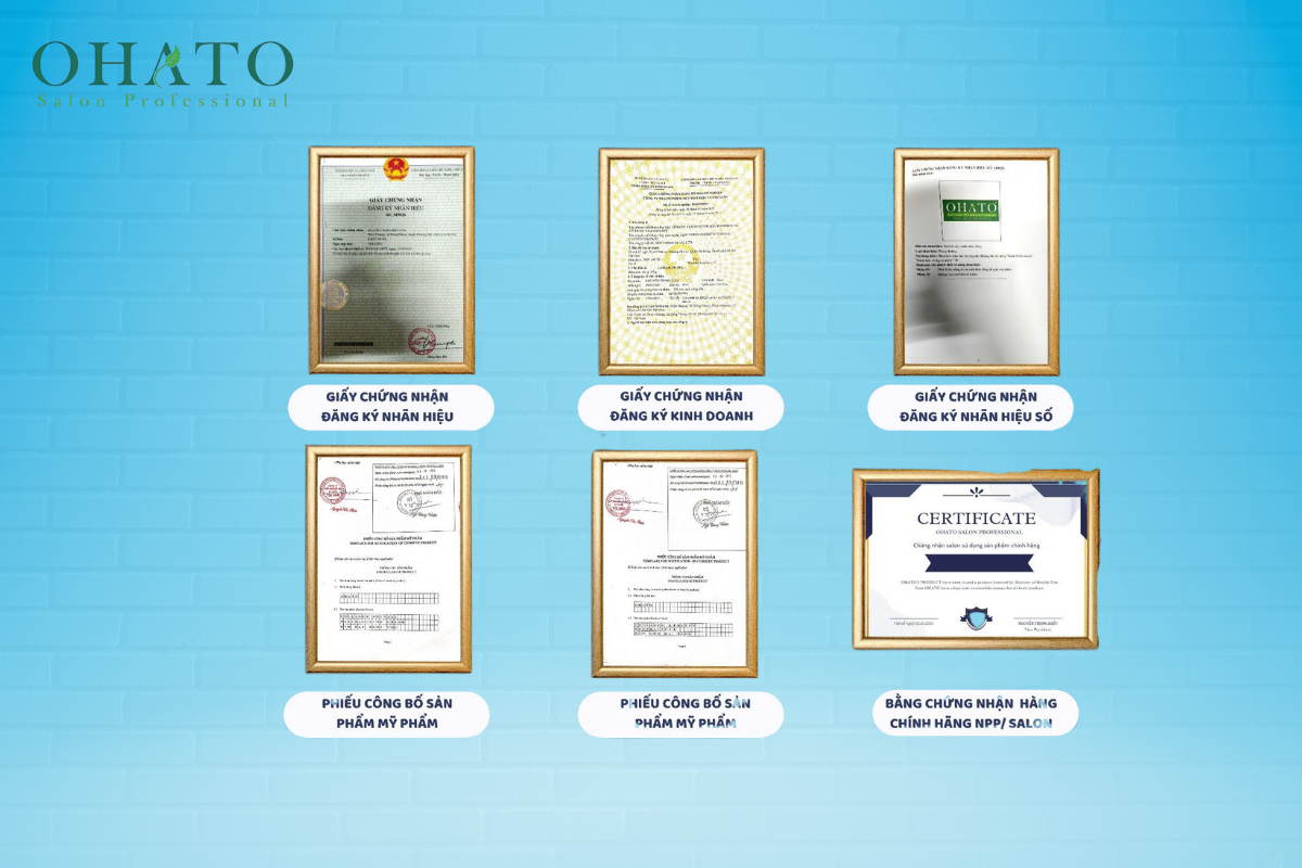Các giấy tờ pháp lý kinh doanh của OHATO
