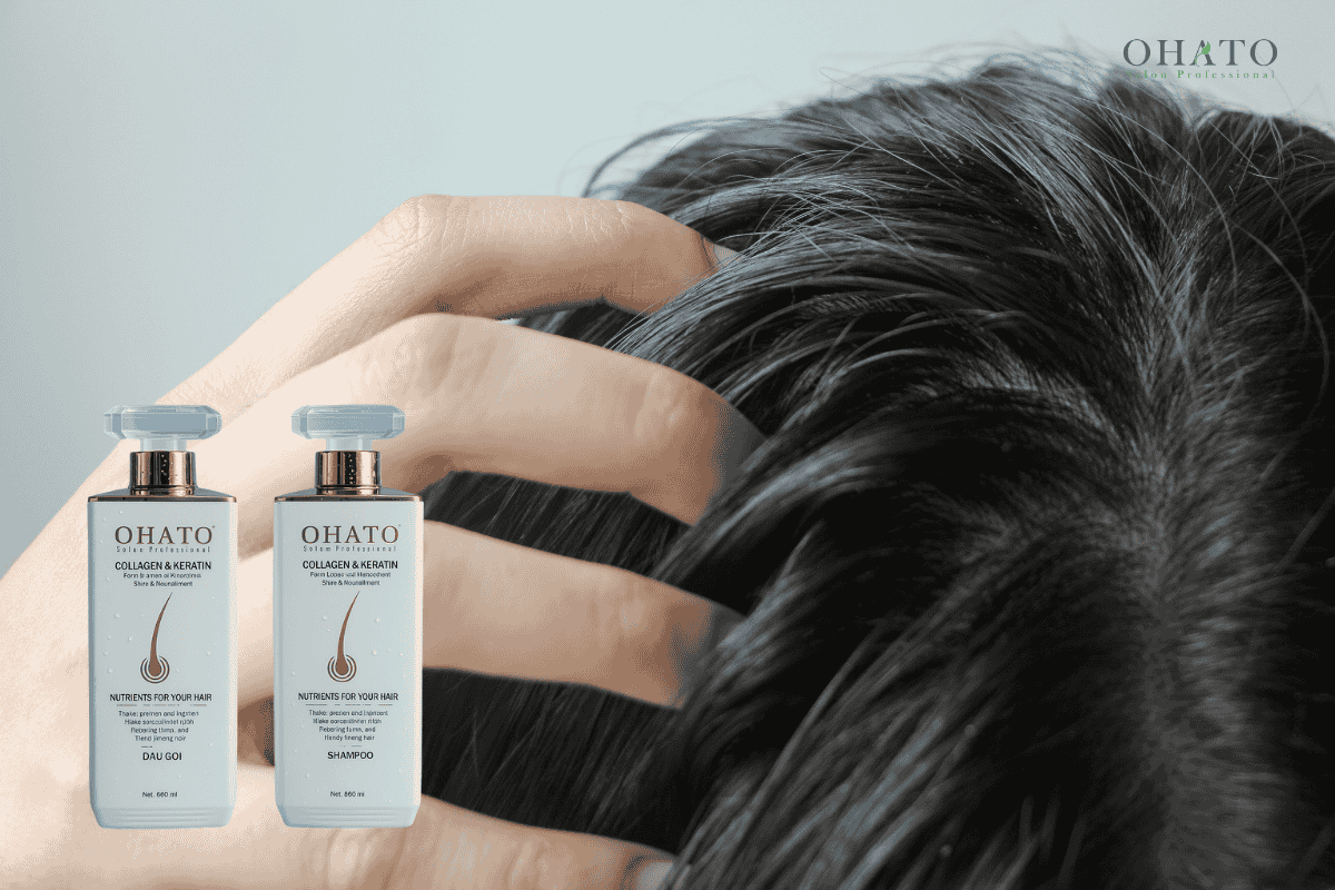 Dầu gội cho da đầu nhờn