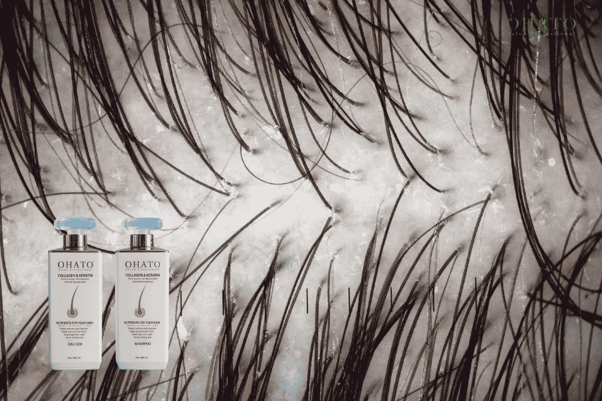 Review dầu gội cho da đầu nhờn