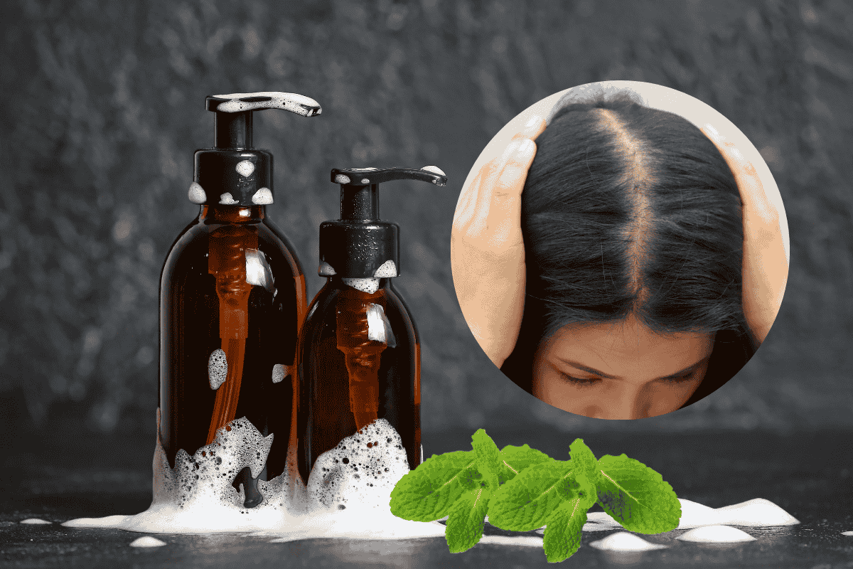 Ai là người thực sự cần đến dầu gội không có bạc hà