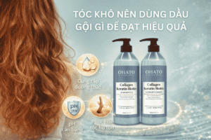 Tóc khô nên dùng dầu gội gì để đạt hiệu quả