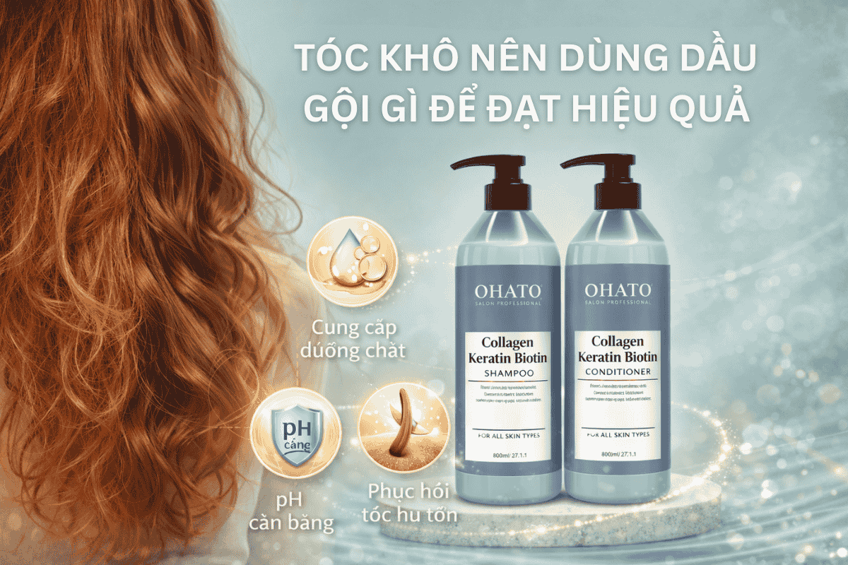 Tóc khô nên dùng dầu gội gì để đạt hiệu quả