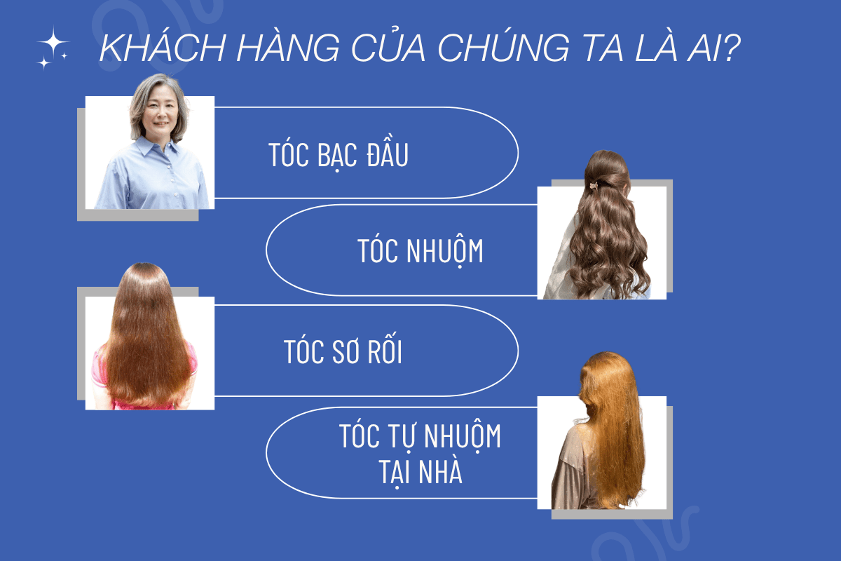 4 nhóm khách hàng chính: tóc bạc, tóc nhuộm, tóc khô xơ, người muốn tự nhuộm tại nhà.