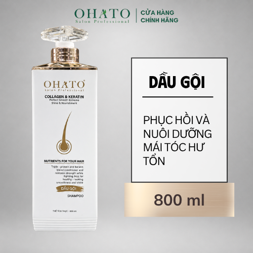 Phục hồi 1 dầu gội phục hồi chuyên sâu